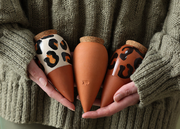 Oya arrosage : tout comprendre sur ce système d'irrigation ancestral pour vos plantes