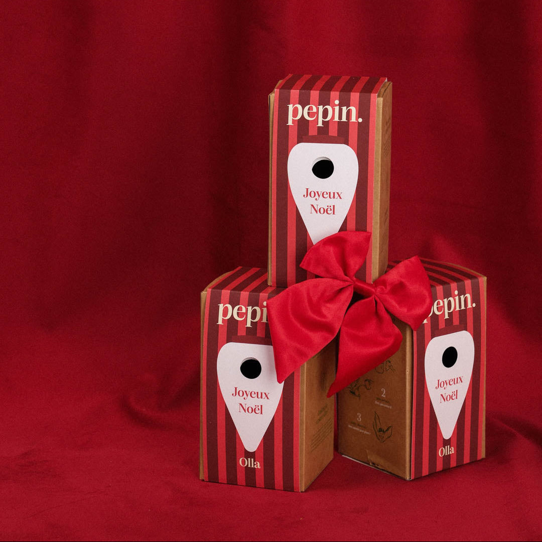 Limited Edition Christmas - Olla Striped Pink and Red