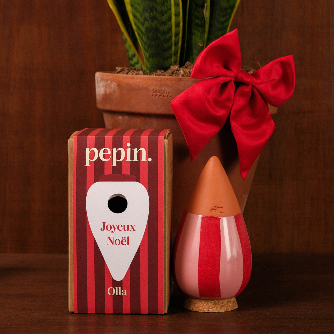 Limited Edition Christmas - Olla Striped Pink and Red