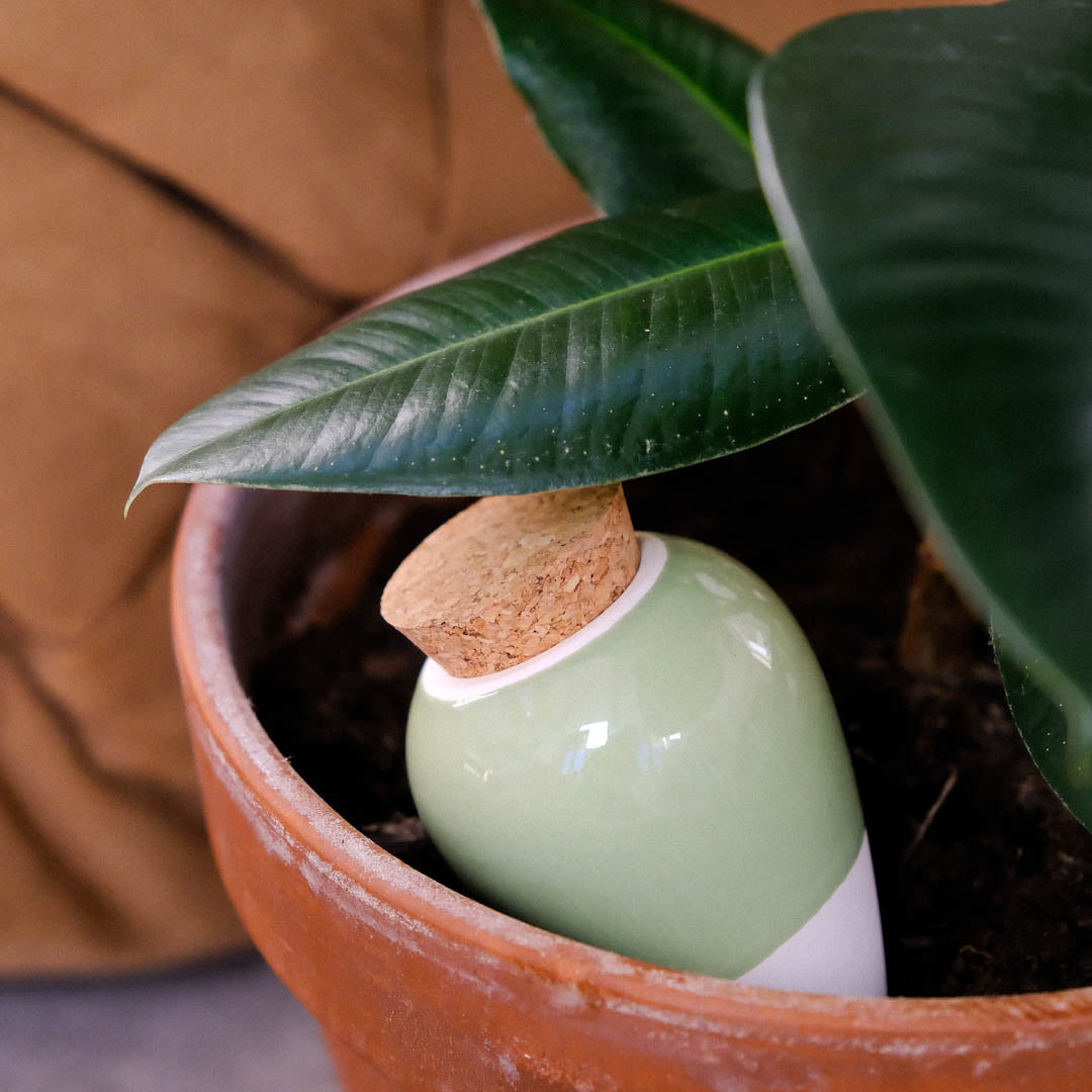 Olla - Vert