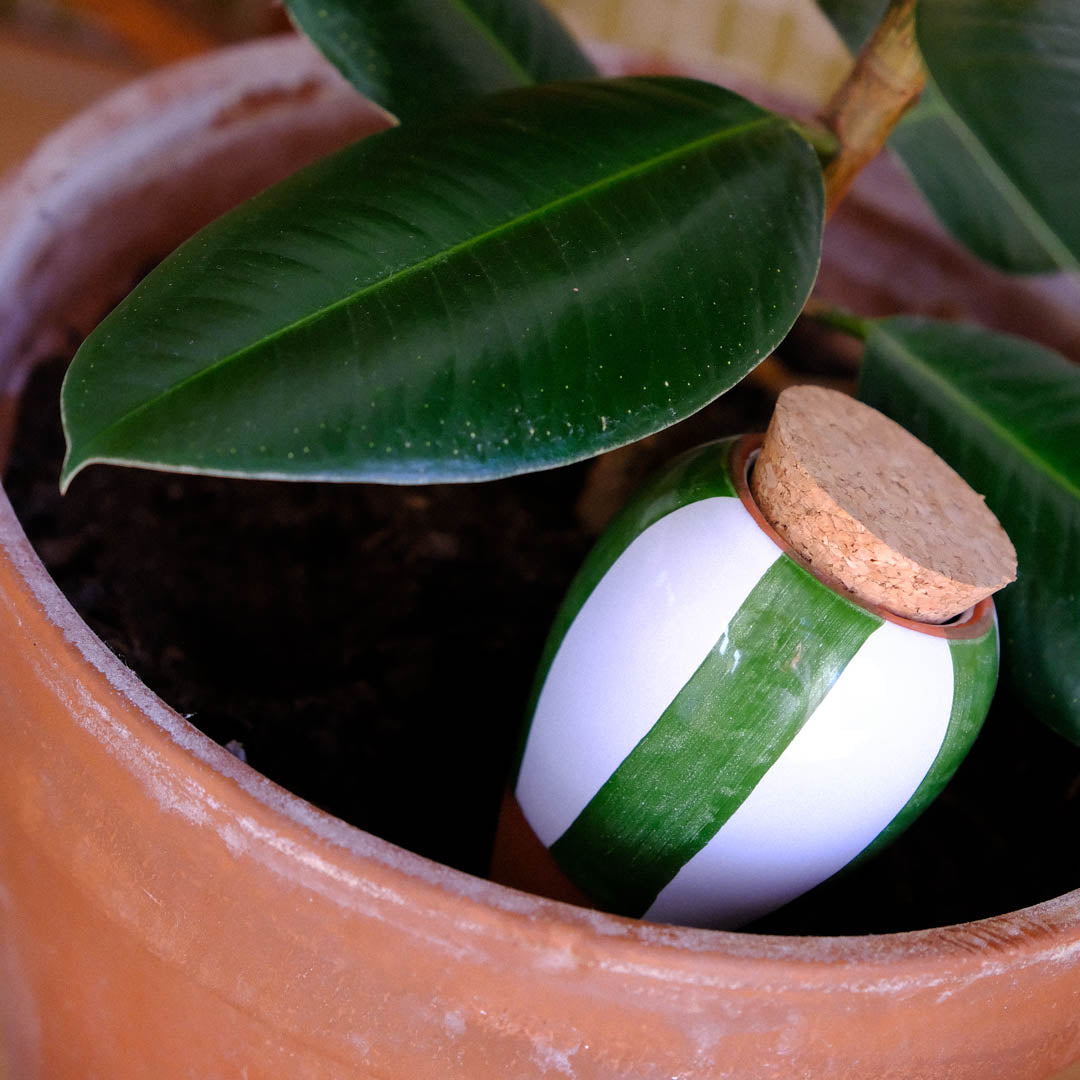 Olla - Stripes green and white