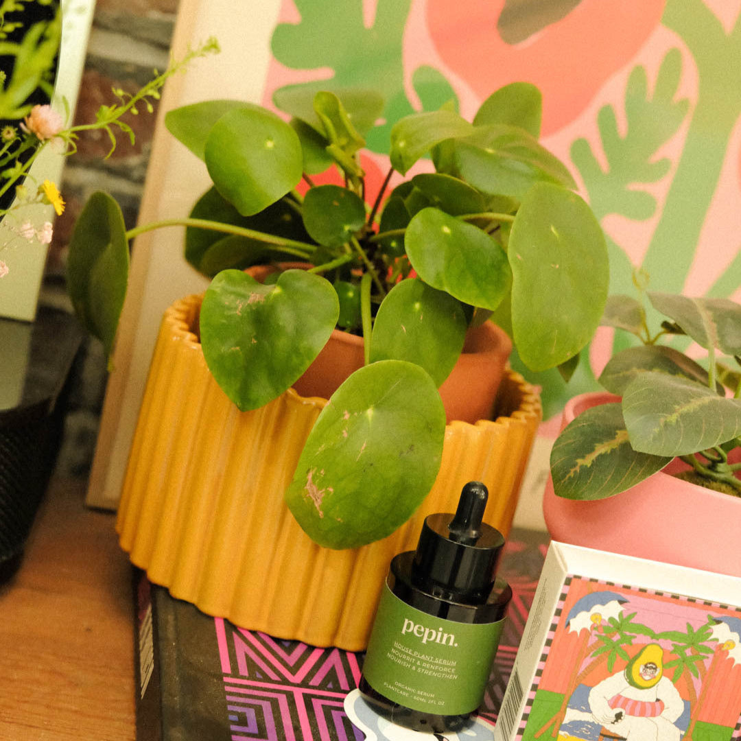 Paula (M) - Mustard yellow