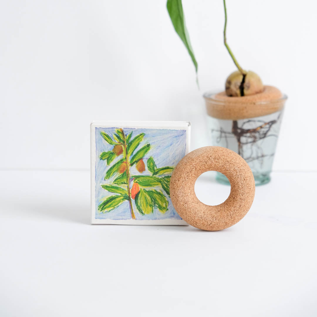 Avocado Float – Samantha Kerdine