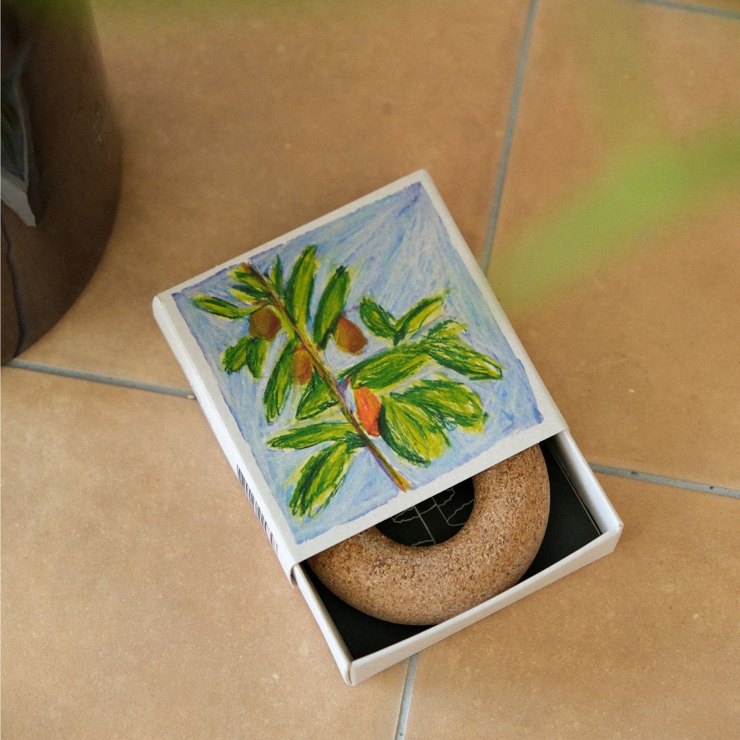 Avocado Float – Samantha Kerdine