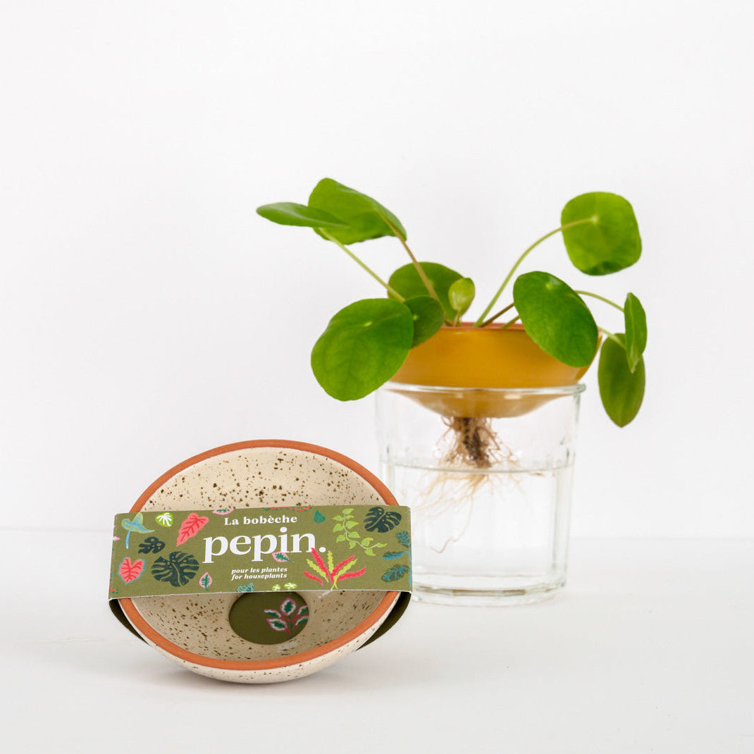 Bobèche Plants - White speckled