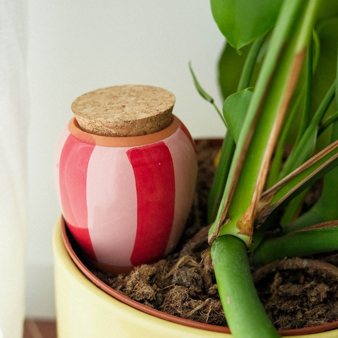 Olla - Rayé rose et rouge