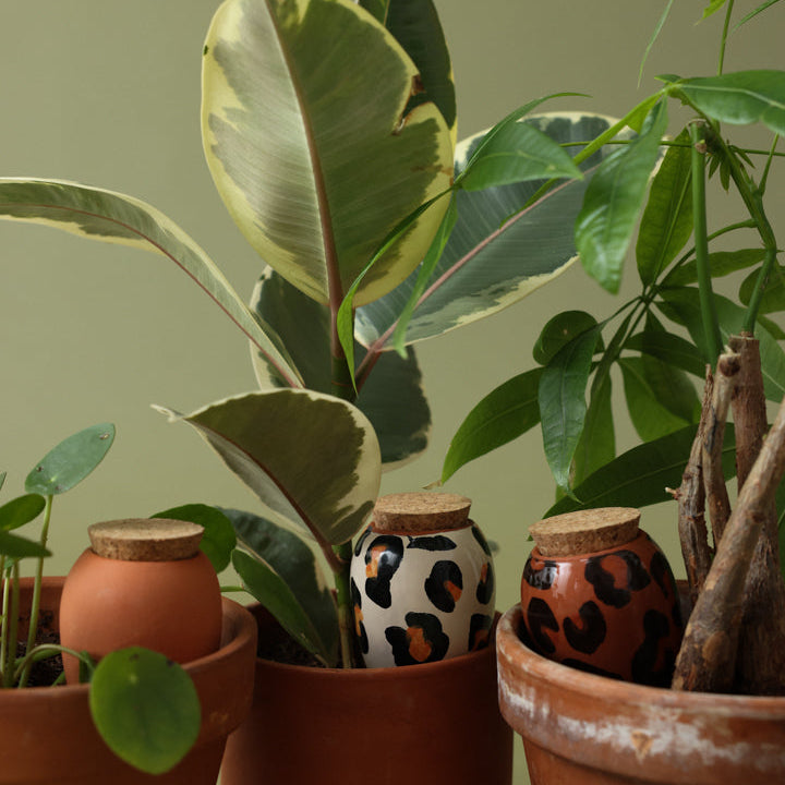 Trio Mini Ollas - The Leopards