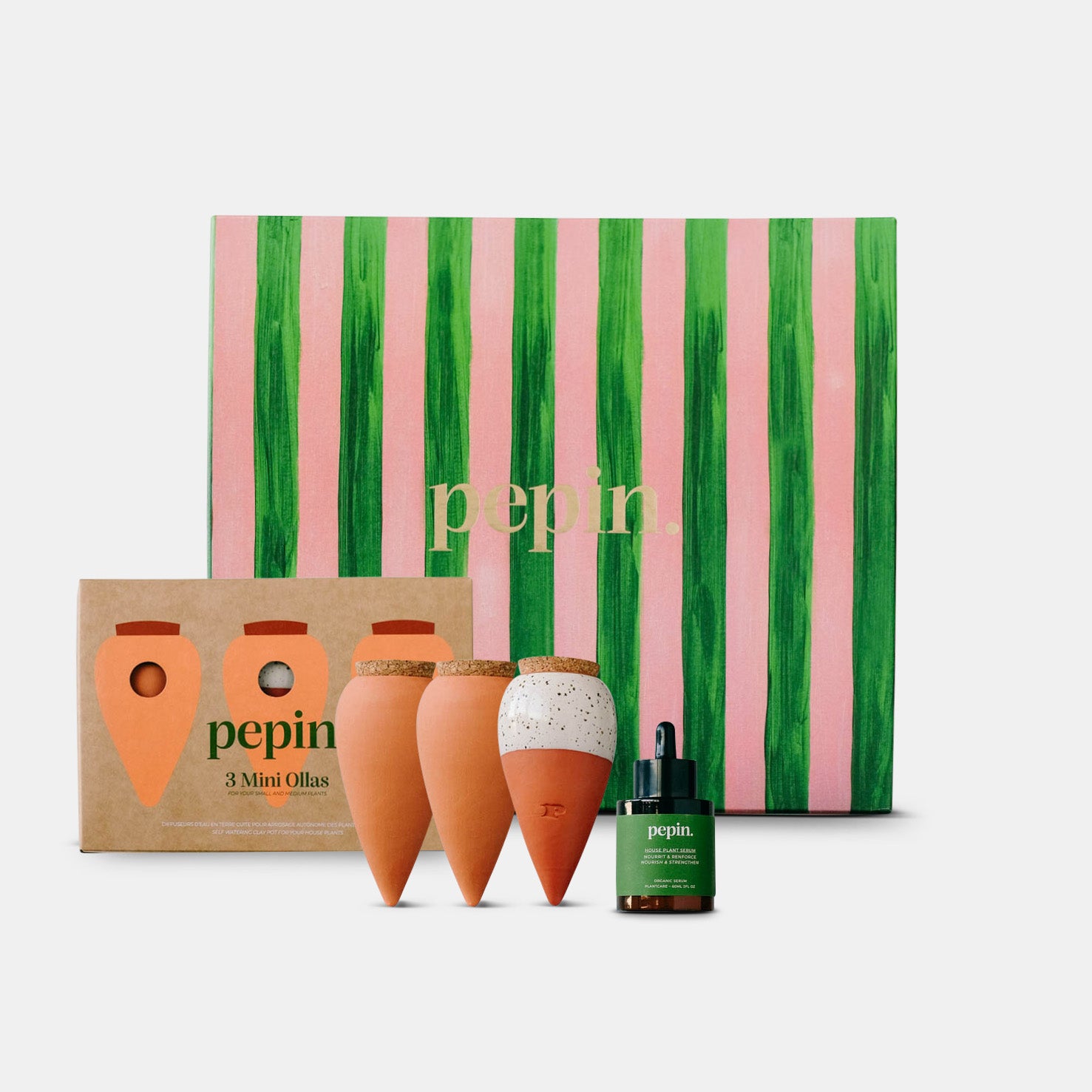 indoor plant gift set Gift set