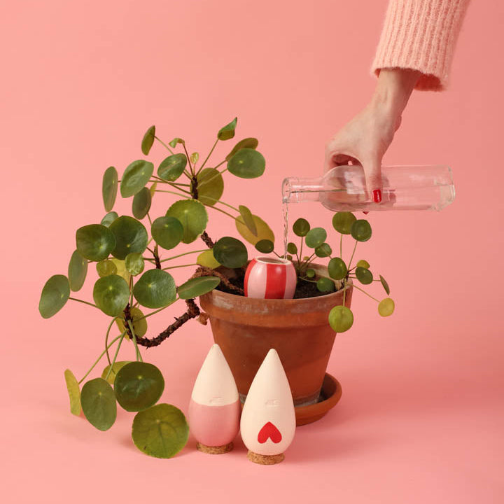 Les oyas sont-elles vraiment efficaces ? Ce que dit la science sur l'arrosage par diffusion