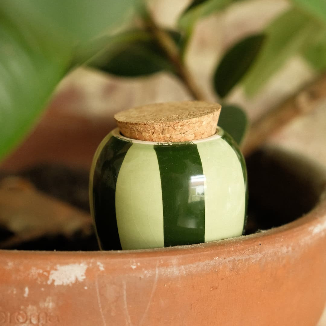 Olla - Green and green striped