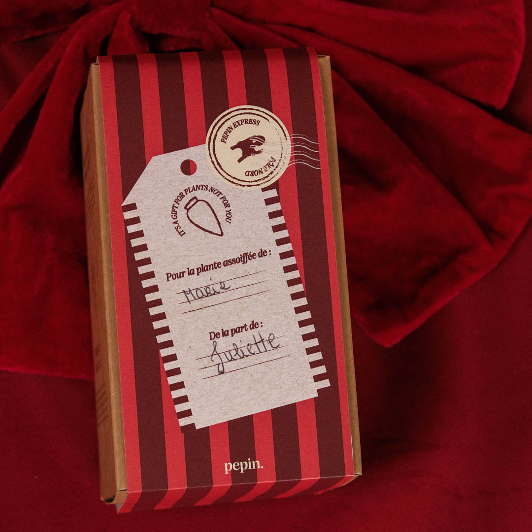 Limited Christmas Edition - Olla White Grained