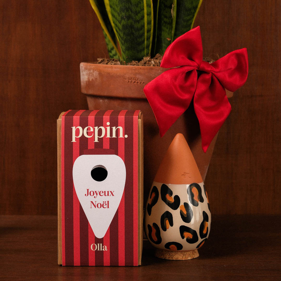Édition limitée Noël - Olla Léopard