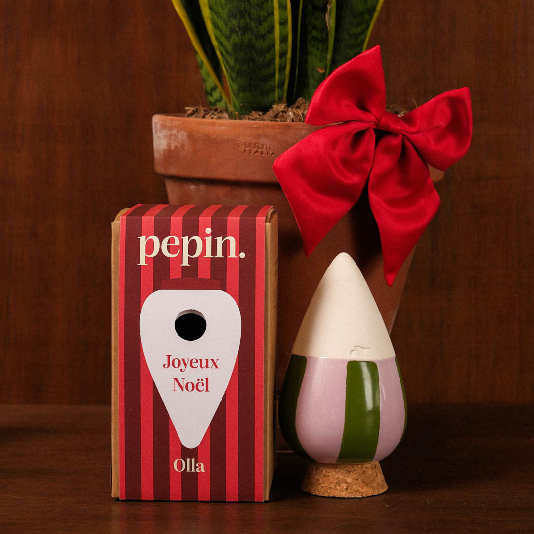 Limited Christmas Edition - Green and Lilac Striped