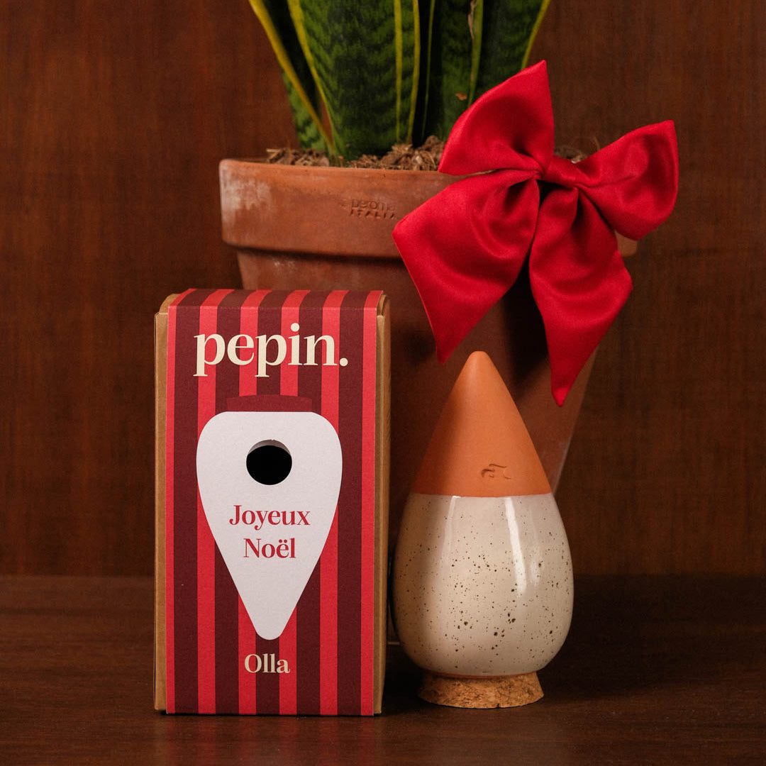 Limited Christmas Edition - Olla White Grained