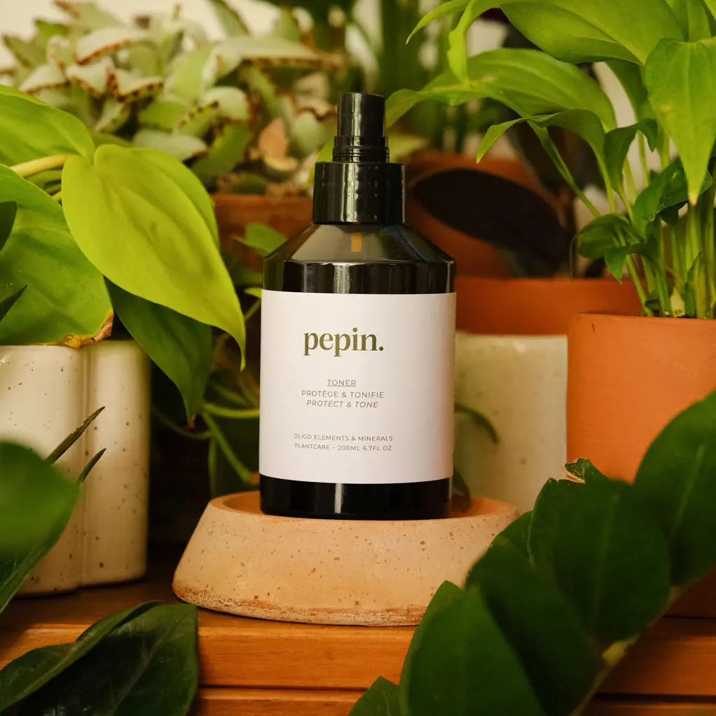 Toner - Spray protecteur