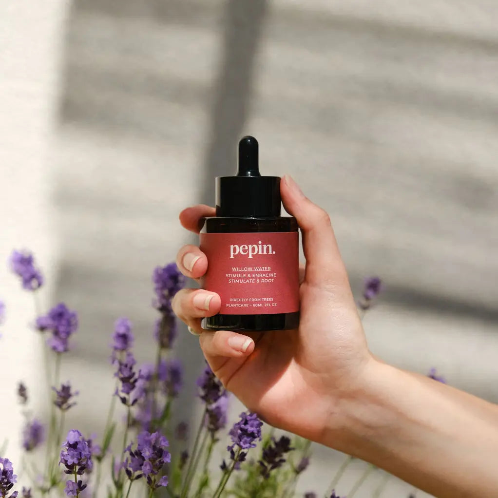 eau de saule pepin