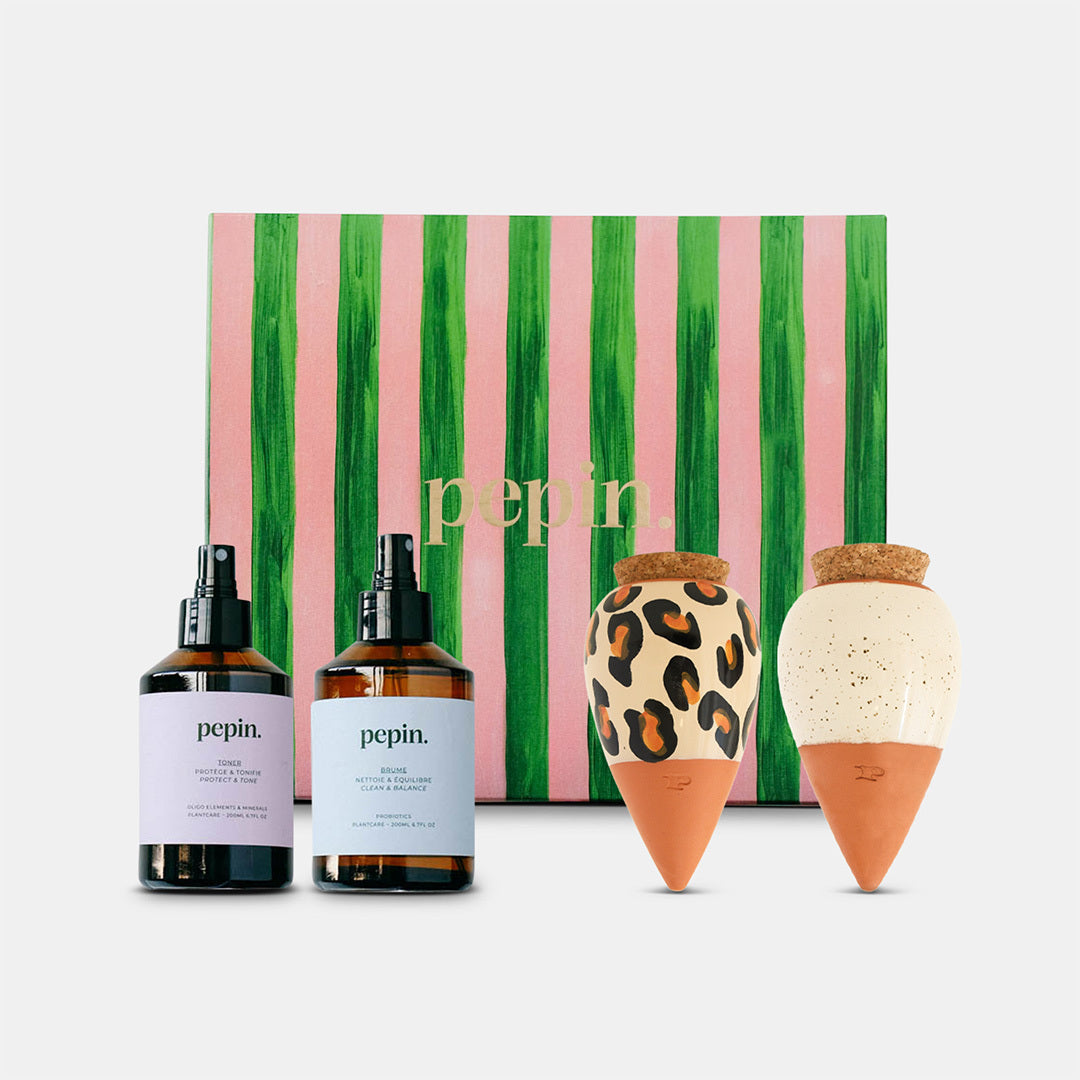 Gift Box - The Iconics