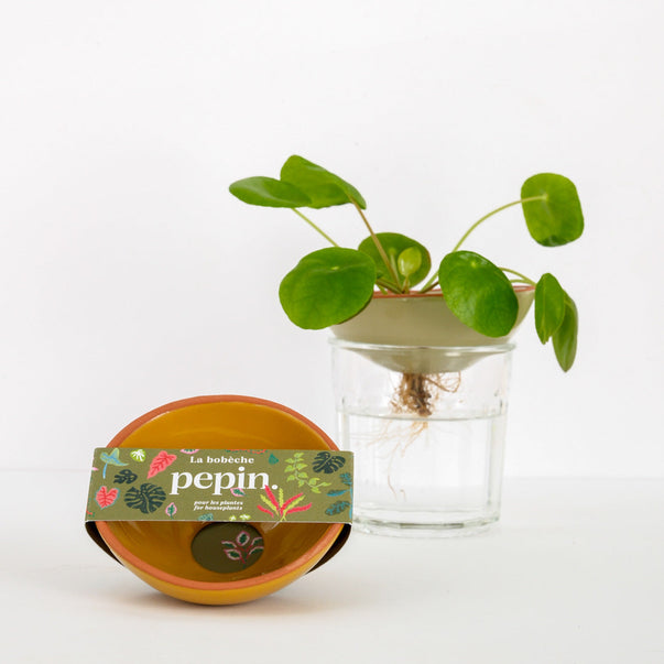 Bobèche Plants - Mustard Yellow