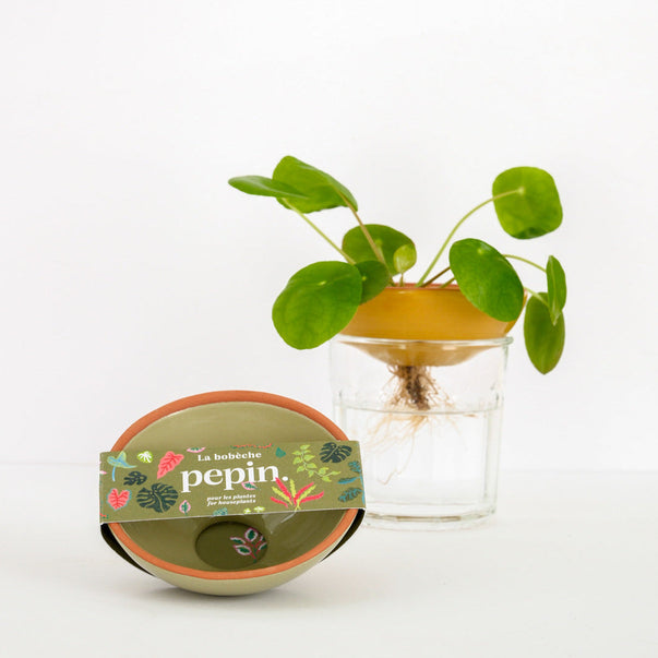 Bobèche Plants - Sage Green