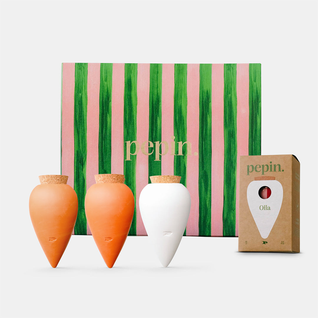 Coffret cadeau - Les Iconiques